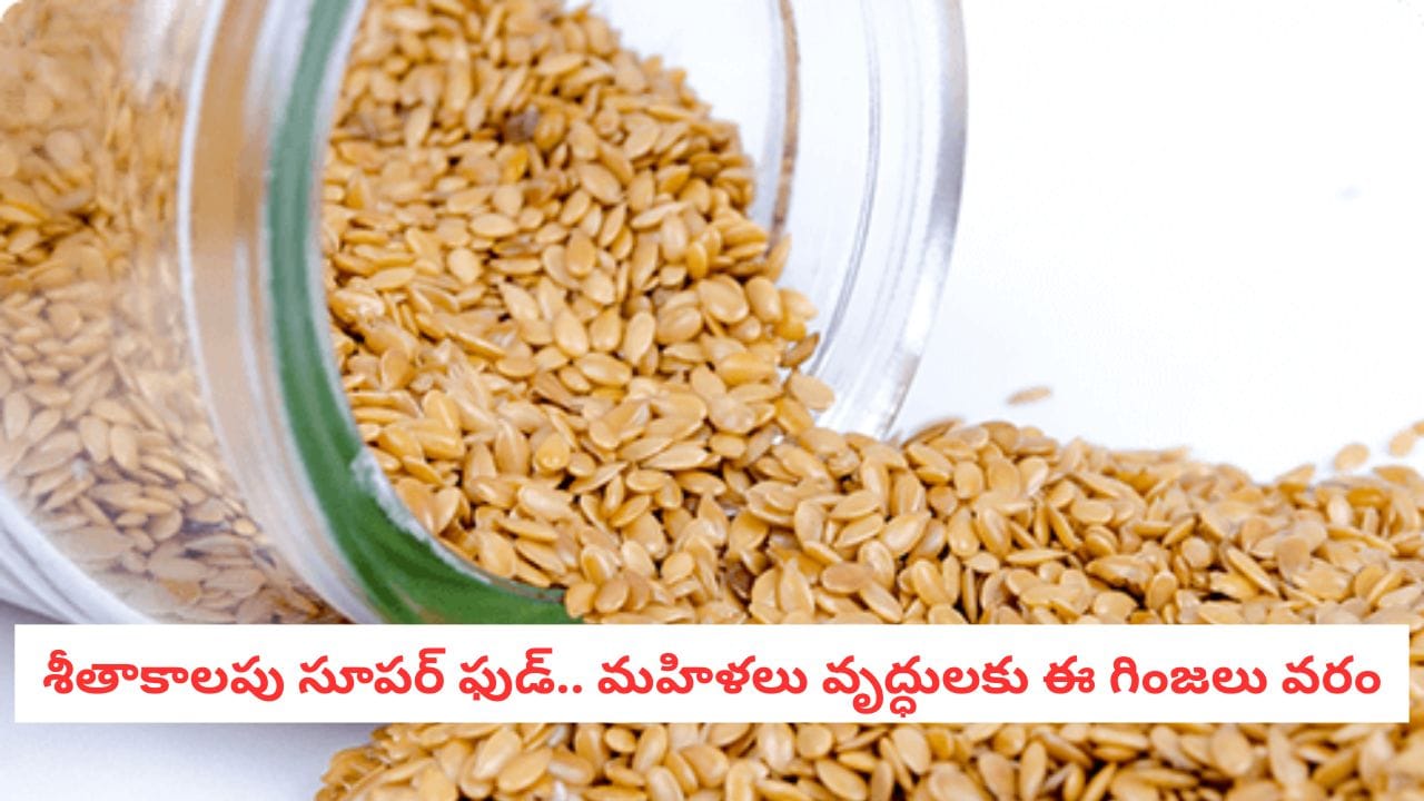 Sesame Seeds Benefits: చలికాలంలో న్యాచురల్ హీటర్.. ఈ గింజలకు ఎంత పవరుందో తెలుసా?