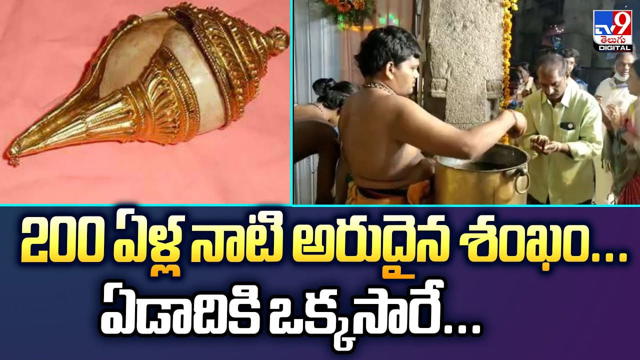 200 ఏళ్ల నాటి అరుదైన శంఖం... ఏడాదికి ఒక్కసారే...