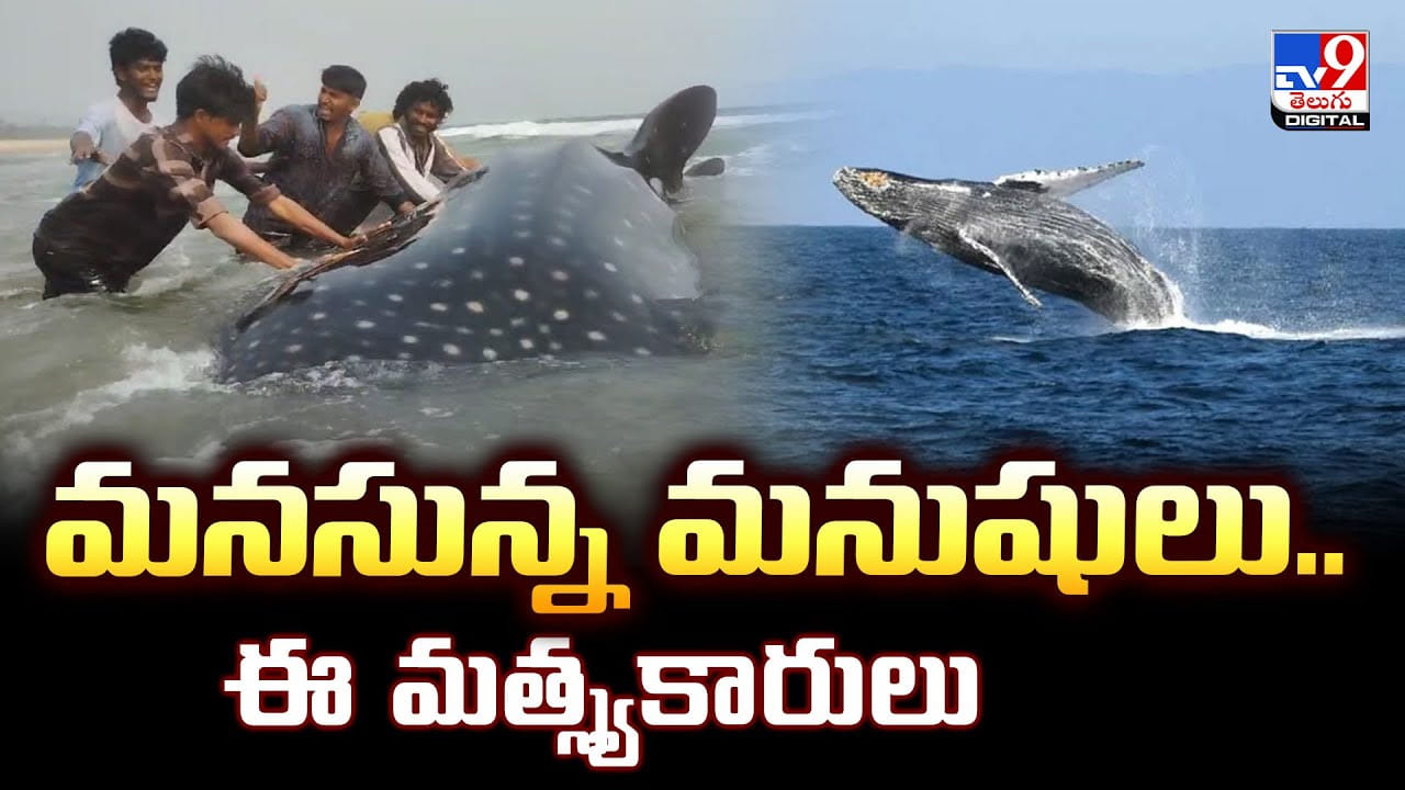 మనసున్న మనుషులు.. ఈ మత్స్యకారులు