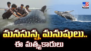 YS Jagan Mohan Reddy: ఏపీ మాజీ సీఎం జగన్‌ మోహన్ రెడ్డికి స్వల్ప అస్వస్థత.. ఇవాళ్టి కార్యక్రమాలు రద్దు