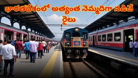 సైకిల్‌ కంటే నెమ్మదిగా ప్రయాణించే రైలు..! అయినా ఫుల్లు డిమాండ్..