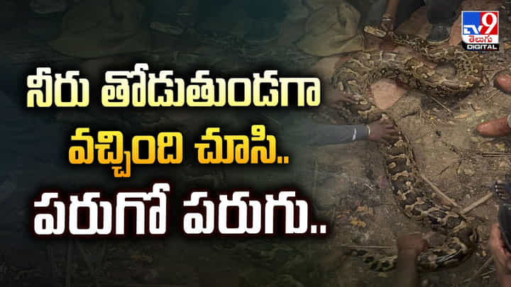 నీరు తోడుతుండగా వచ్చింది చూసి.. పరుగో పరుగు.. నీరు తోడుతుండగా వచ్చింది చూసి.. పరుగో పరుగు..