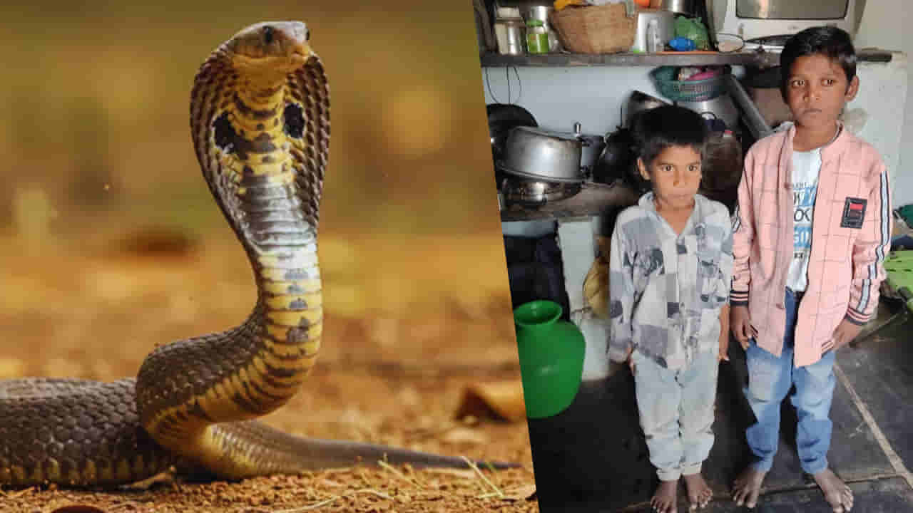 Snake Bite: నిద్రిస్తున్న ఇద్దరు చిన్నారులను కాటేసిన పాము.. తమ్ముడు మృతి.. అన్న పరిస్థితి విషమం!