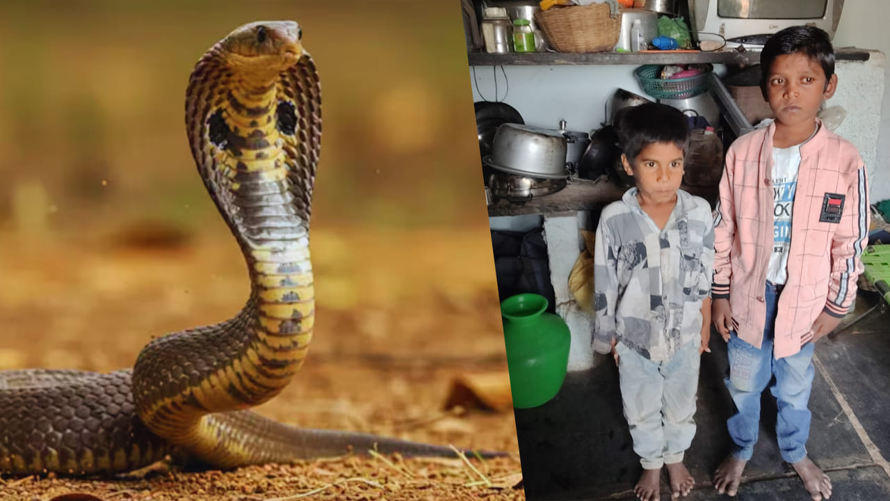Snake Bite: నిద్రిస్తున్న ఇద్దరు చిన్నారులను కాటేసిన పాము.. తమ్ముడు మృతి.. అన్న పరిస్థితి విషమం!