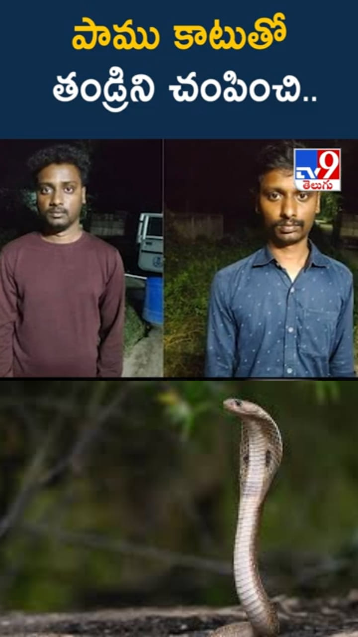 కొడుకులు కాదు కాలయముళ్లు.. పాము కాటుతో తండ్రిని చంపించి..