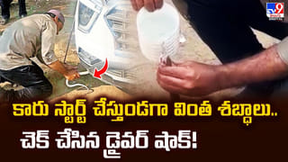 డిసెంబరు చివరిలో ప్రపంచ విపత్తు రానుందా? నోస్ట్రడామస్ ఏం చెప్పారు?