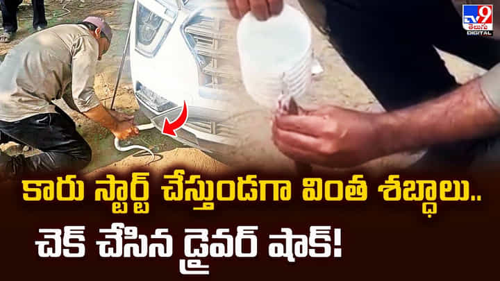 కారు స్టార్ట్ చేస్తుండగా వింత శబ్ధాలు.. చెక్ చేసిన డ్రైవర్ షాక్ కారు స్టార్ట్ చేస్తుండగా వింత శబ్ధాలు.. చెక్ చేసిన డ్రైవర్ షాక్