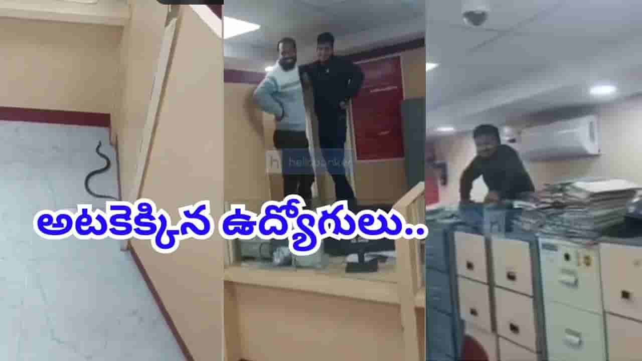 Viral Video: బ్యాంకులో దూరిన పాము.. దెబ్బకు అటకెక్కిన ఉద్యోగులు..వీడియో చూస్తే నవ్వలేక పోట్టచెక్కలే..
