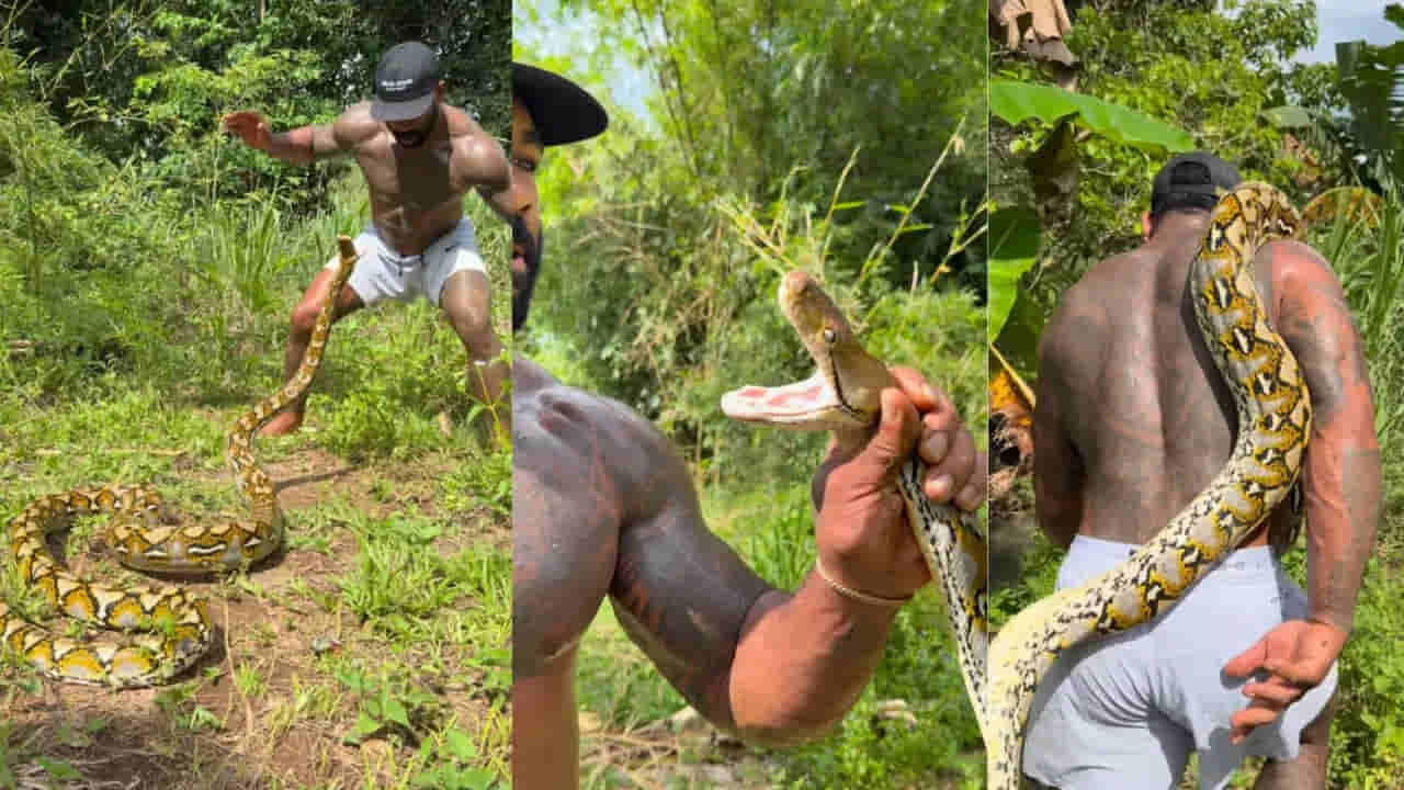 Viral Video: వామ్మో.. కొండ చిలువకే దిమ్మ తిరిగే షాకిచ్చాడుగా.. వీడియో చూస్తే ఔరా అనాల్సిందే