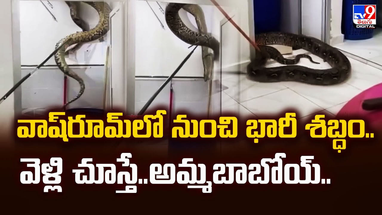 వాష్‌రూమ్‌లో నుంచి భారీ శబ్ధం.. వెళ్లి చూస్తే..అమ్మబాబోయ్‌..