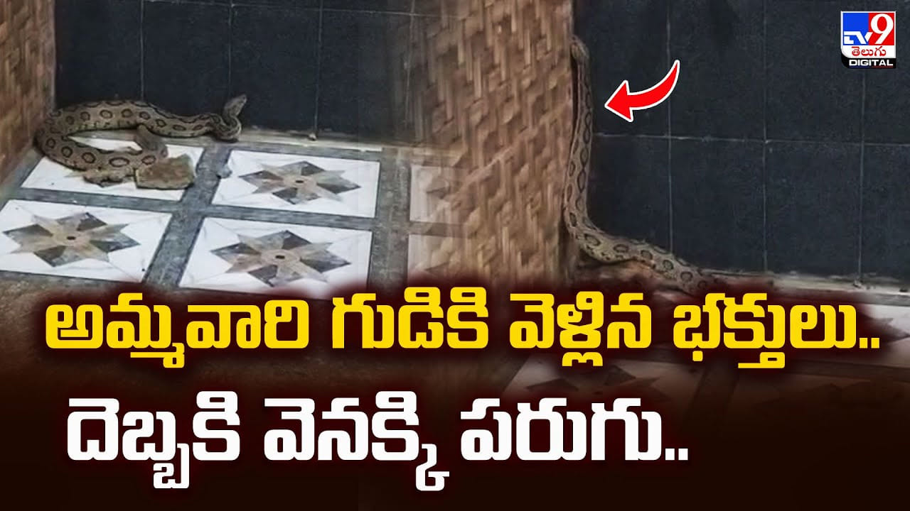 అమ్మవారి గుడికి వెళ్లిన భక్తులు..దెబ్బకి వెనక్కి పరుగు..