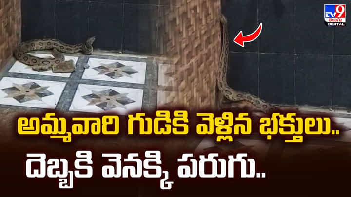 అమ్మవారి గుడికి వెళ్లిన భక్తులు..దెబ్బకి వెనక్కి పరుగు.. అమ్మవారి గుడికి వెళ్లిన భక్తులు..దెబ్బకి వెనక్కి పరుగు..