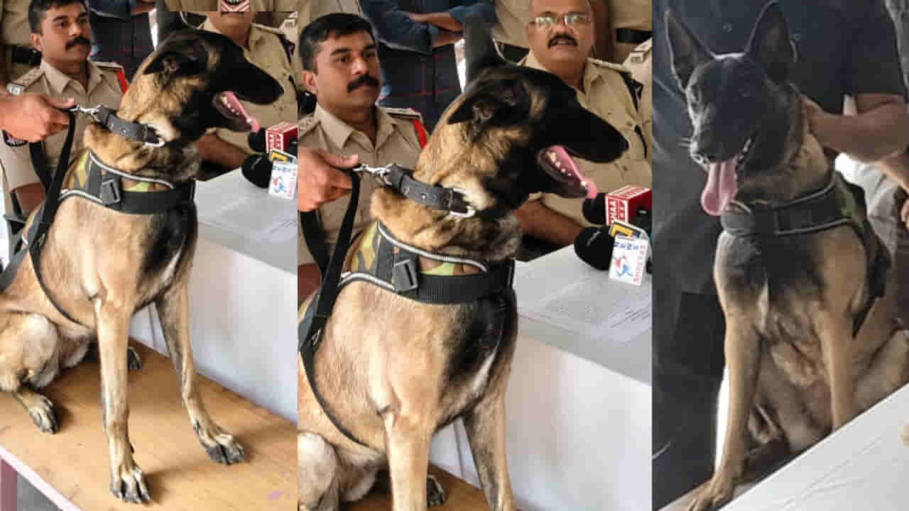 Andhra: హంతకుడిని పట్టించిన సూపర్ డాగ్ సోను.. క్రైం స్టోరీని మించిన సీన్..