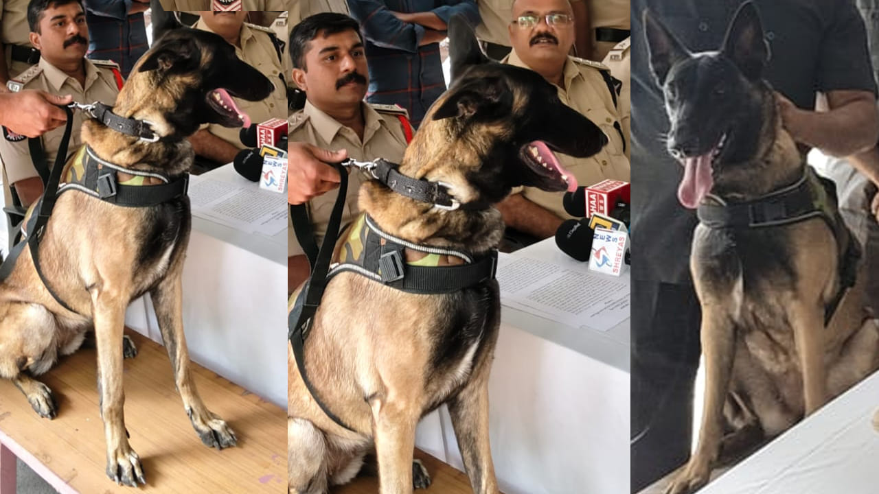 Andhra: హంతకుడిని పట్టించిన సూపర్ డాగ్ సోను.. క్రైం స్టోరీని మించిన సీన్..