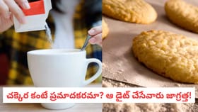చక్కెర కంటే ప్రమాదకరమా? ఆ డైట్ చేసేవారు జాగ్రత్త!
