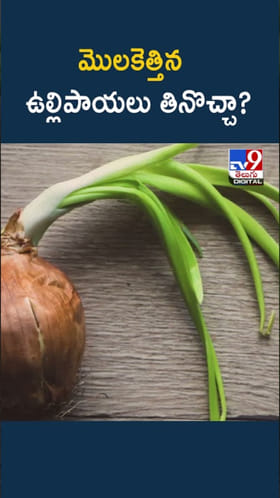 Sprouted Onions: మొలకెత్తిన ఉల్లిపాయలు తినొచ్చా..? తినకూడదా..?