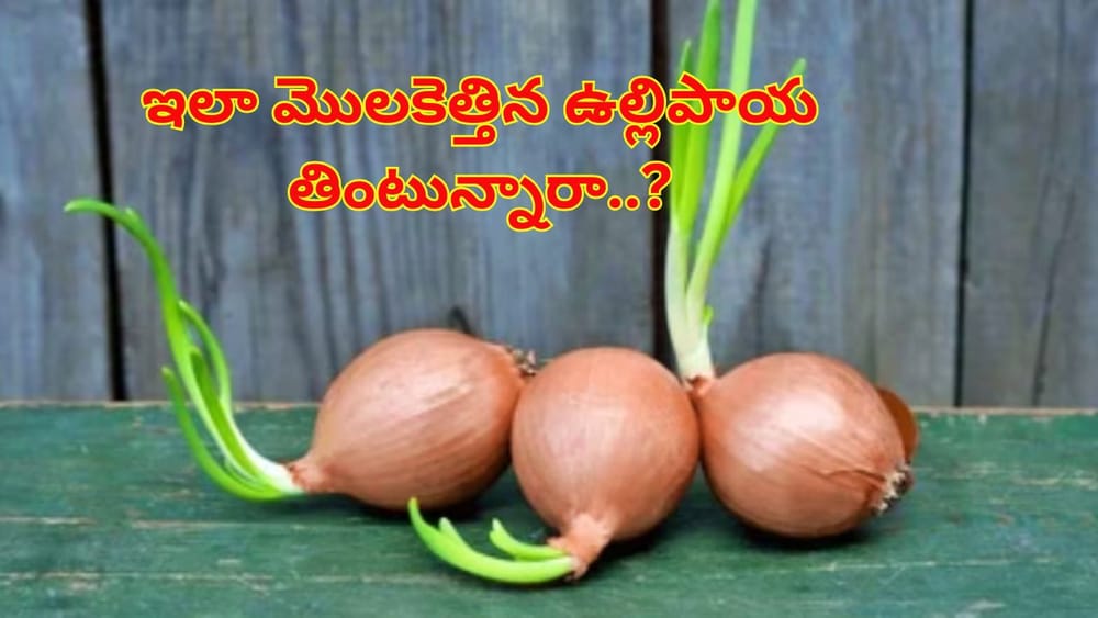 మొలకెత్తిన ఉల్లిపాయలు తింటున్నారా..? అయితే, ఇది మీ కోసమే..లేదంటే..