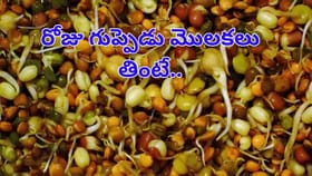 రోజు ఉదయాన్నే బ్రేక్‌ఫాస్ట్‌లో గుప్పెడు మొలకెత్తిన గింజలు తింటే..