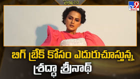 బిగ్ బ్రేక్ కోసం ఎదురుచూస్తున్న శ్రద్ధా శ్రీనాథ్