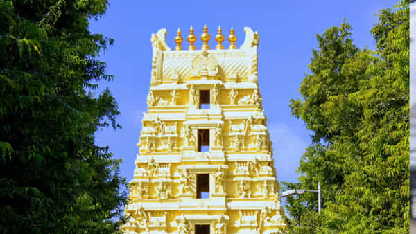 Srisailam: శ్రీశైలం వెళ్లే భక్తులకు భారీ శుభవార్త.. వారికి దర్శనం ఫ్రీ.. వసతి కూడా..