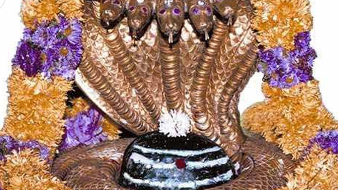 Srisailam Temple: శ్రీశైల భ్రమరాంబ మల్లికార్జున భక్తులకు ఇది కదా కావాల్సింది.. సూపర్ గుడ్ న్యూస్..