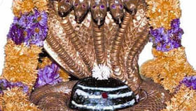 శ్రీశైలం వెళ్లే భక్తులకు న్యూ ఇయర్ గిఫ్ట్ ఇదే..