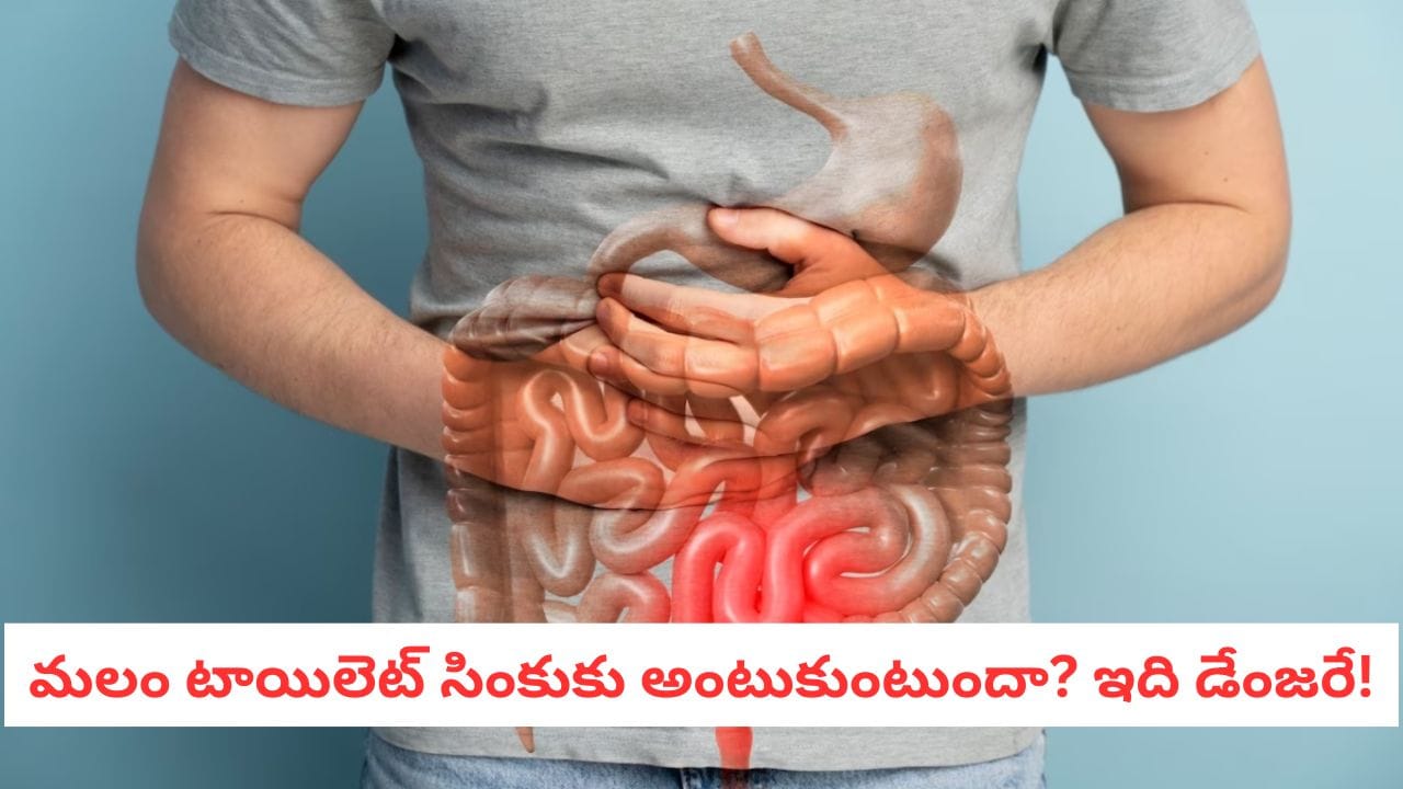 Gut Health: మలం రంగు మారిందా?.. ఈ 5 వ్యాధులు నిద్రలేచినట్టే!