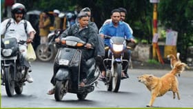 రోడ్డుపై వెళ్లేప్పుడు కుక్కలు వెంటపడుతున్నాయా? టెన్షనొద్దు..