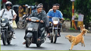 రోడ్డుపై వెళ్లేప్పుడు కుక్కలు వెంటపడుతున్నాయా? టెన్షనొద్దు.. సింపుల్‌గా ఇలా తప్పించుకోండి!