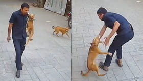 Viral Video: వామ్మో.. అందితే గొంతు నమిలేసేది..!