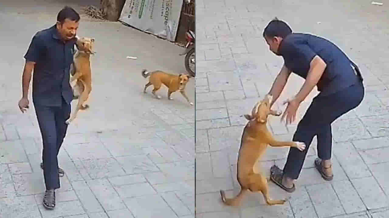 Viral Video: వామ్మో.. అందితే గొంతు నమిలేసేది..! పాఠశాల కెమెరాలో రికార్డయిన షాకింగ్ ఘటన