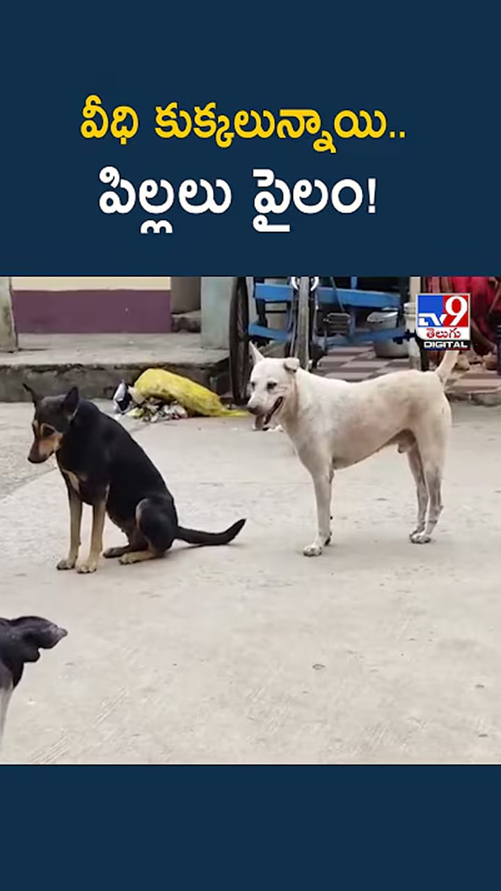 వీధి కుక్కలున్నాయి.. పిల్లలు పైలం!