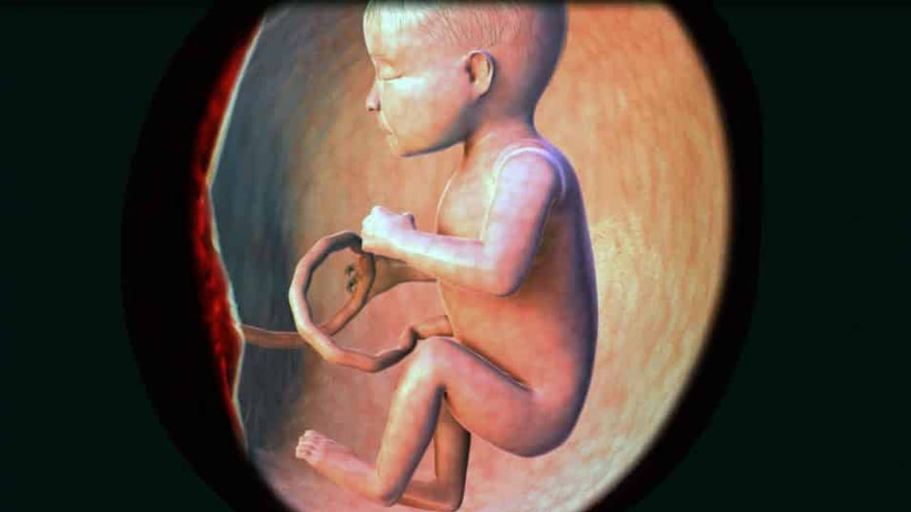 Subramanya Swamy: గర్భంతో ఉన్న స్త్రీలు సుబ్రమణ్య జననం చదివితే.. పుట్టే సంతానానికి తిరుగుండదు..!