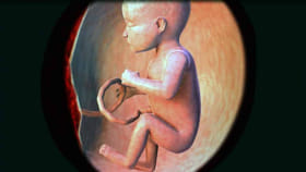 గర్భంతో ఉన్న స్త్రీలు సుబ్రమణ్య జననం చదివితే.. ఆ ఫలం వర్ణించలేం..