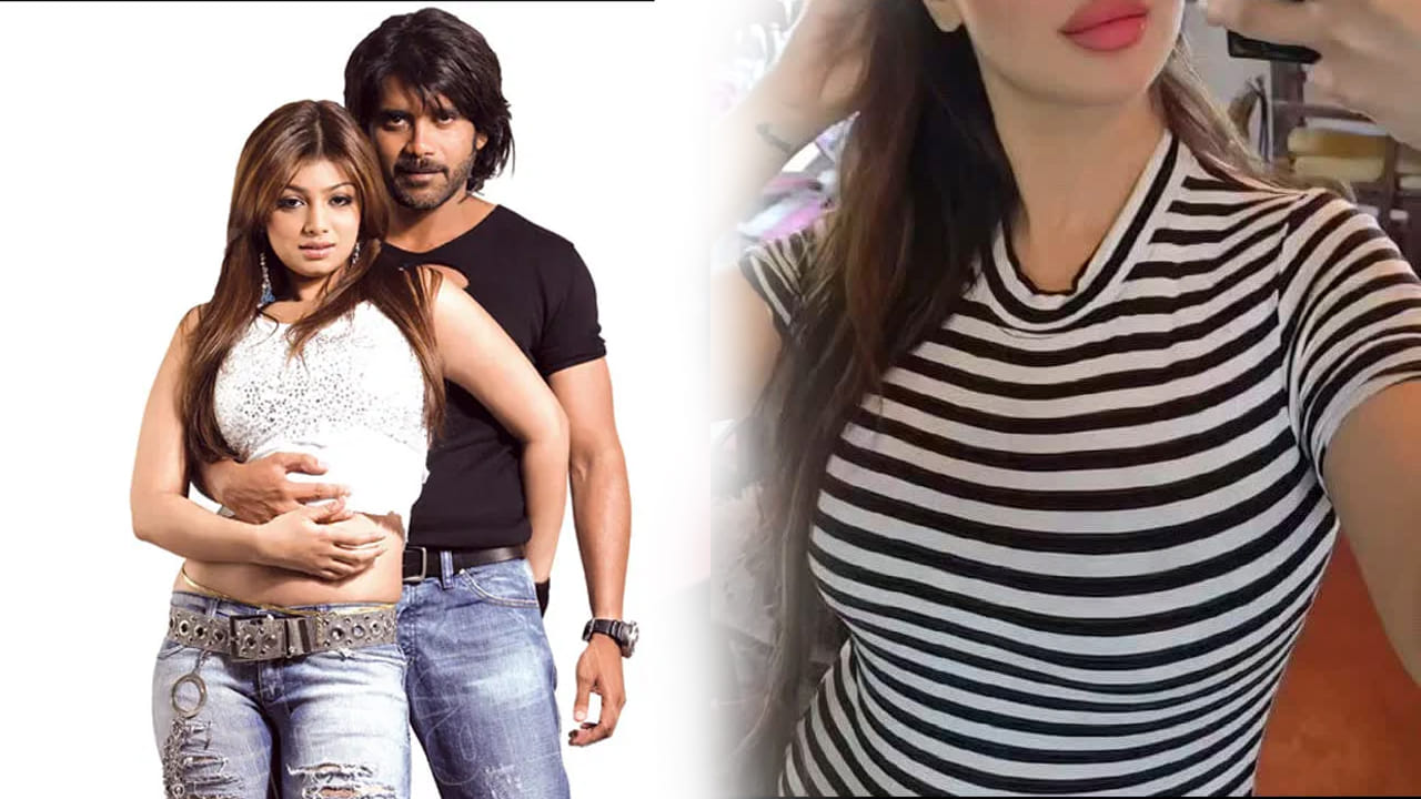 సూపరో సూపర్..! ఒకే ఒక్క సినిమాతో క్రేజ్.. కుర్రాళ్ళ డ్రీమ్ గర్ల్ అయేషా ఇలా మారిపోయిందేంటీ..!! సూపరో సూపర్..! ఒకే ఒక్క సినిమాతో క్రేజ్.. కుర్రాళ్ళ డ్రీమ్ గర్ల్ అయేషా ఇలా మారిపోయిందేంటీ..!!