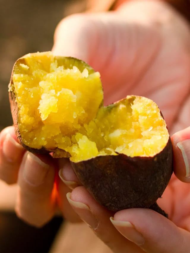 పిల్లలు చిలగడ దుంపలు తినొచ్చా?