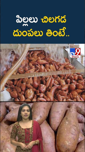 Sweet potato: పిల్లలు చిలగడ దుంపలు తింటే.. ఎన్ని లాభాలో తెలుసా?