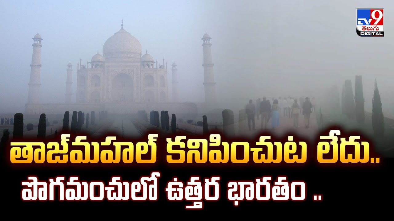 తాజ్‌మహల్ కనిపించుట లేదు.. పొగమంచులో ఉత్తర భారతం