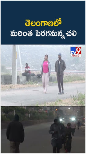 Telangana Coldwave: తెలంగాణపై చలిపులి పంజా.. గజగజ వణికిపోతోన్న జనం