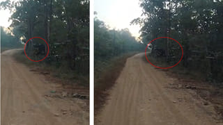 రైతులకు ఎగిరిగంతేసే వార్త.. ఇక కూర్చున్న చోట నుంచే లక్షల్లో ఆదాయం.. ఎలాగంటే.?