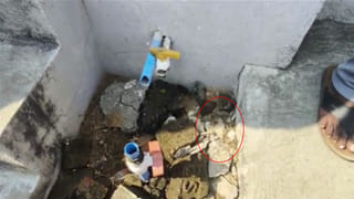 Telangana: ఇంటి ముందు ముగ్గు వేశారనుకునేరు.. అసలు మ్యాటర్ తెలిస్తే గుండె పగులుద్ది