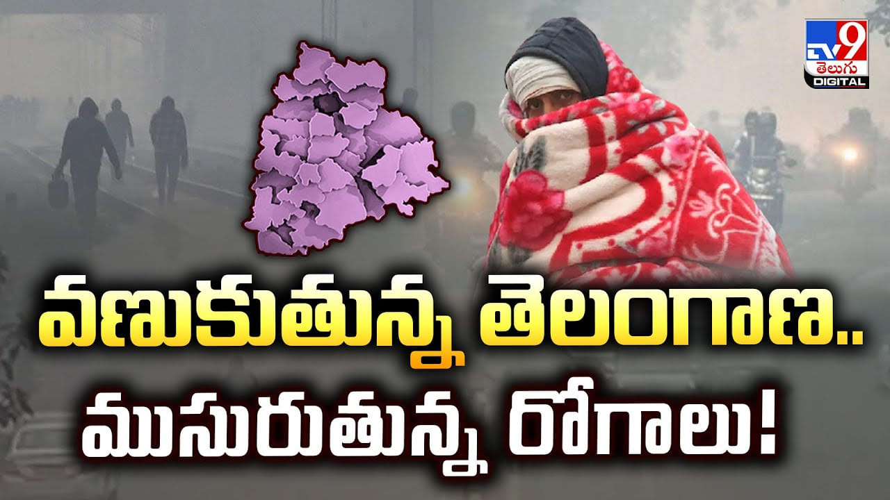 వణుకుతున్న తెలంగాణ..ముసురుతున్న రోగాలు వీడియో