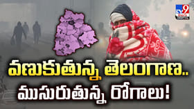 వణుకుతున్న తెలంగాణ..ముసురుతున్న రోగాలు వీడియో