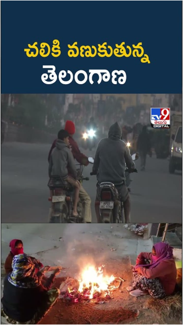 Telangana Cold Wave: చలిపులి పంజా.. గజగజ వణుకుతున్న తెలంగాణ