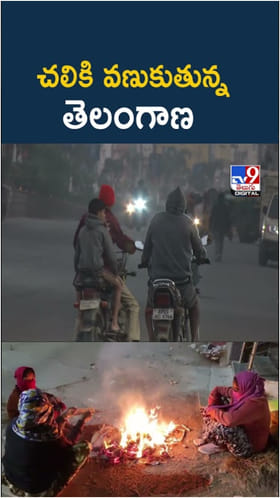 Telangana Cold Wave: చలిపులి పంజా.. గజగజ వణుకుతున్న తెలంగాణ