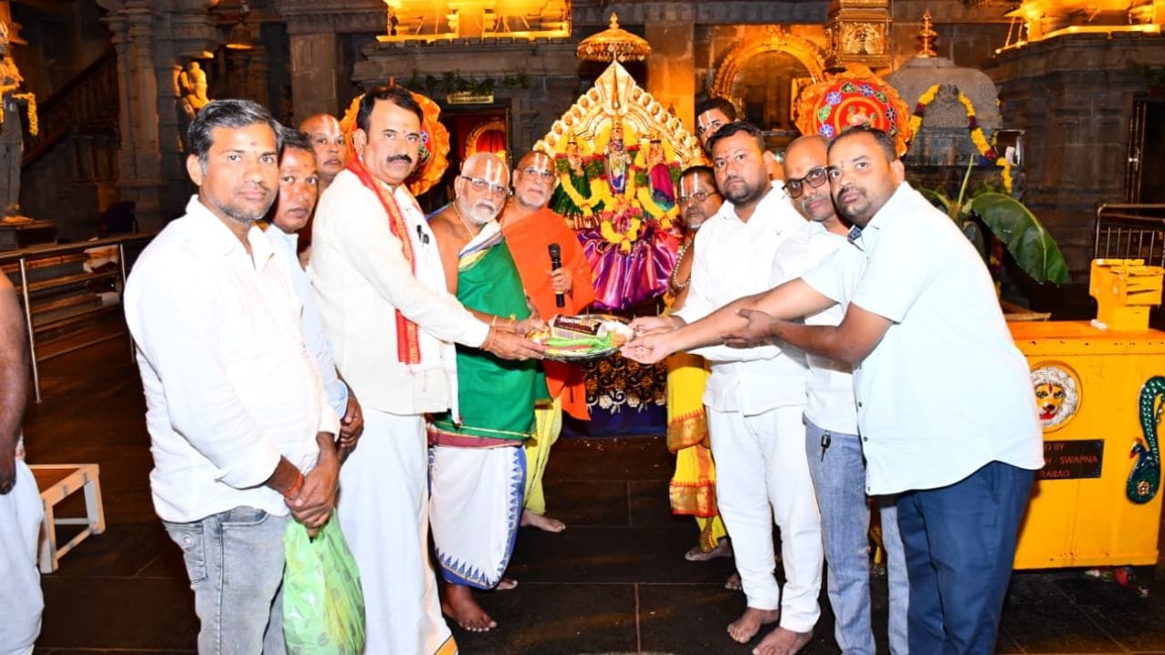 Telangana Matchbox Saree (1)