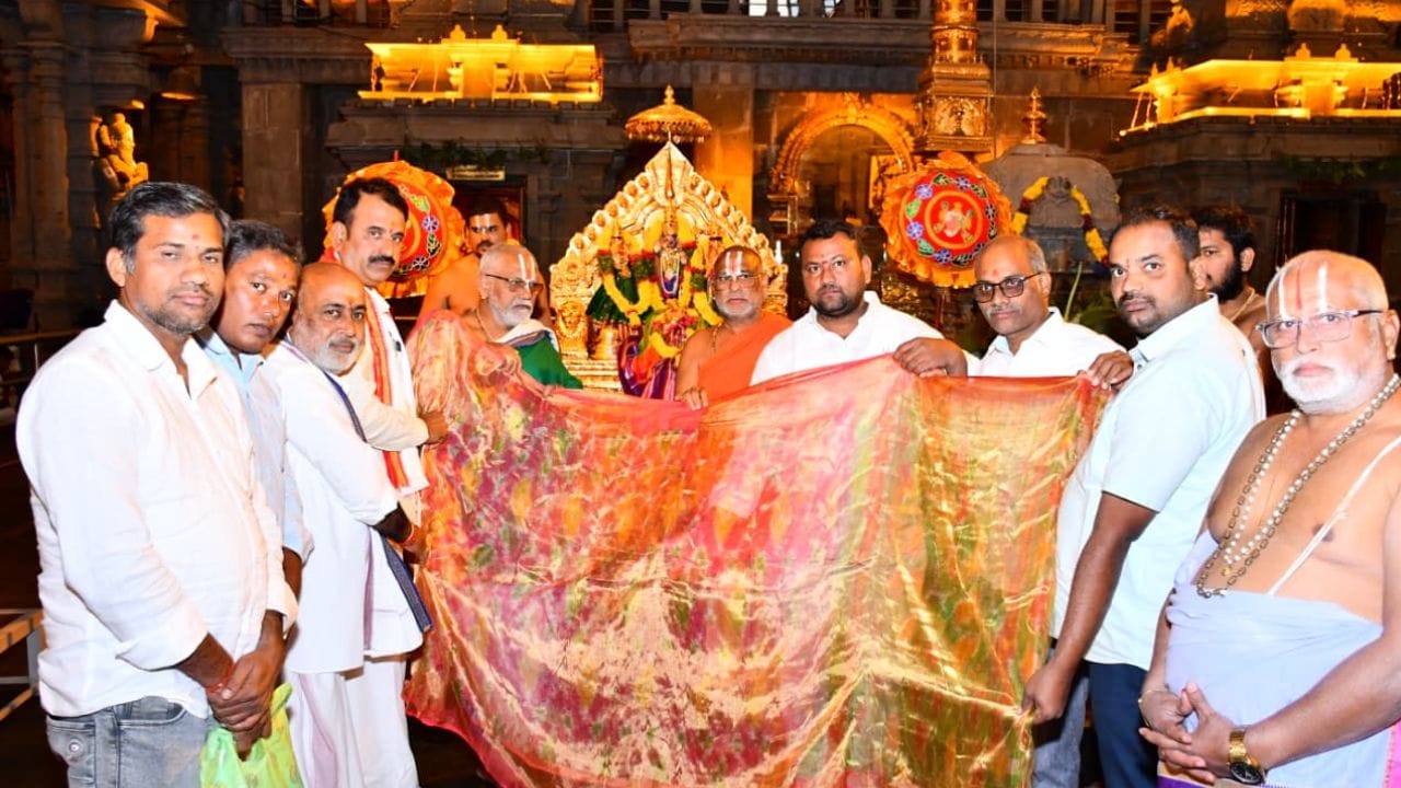 Telangana Matchbox Saree (2)