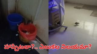 Hyderabad: హైదరాబాద్‌లో చలాన్లపై డిస్కౌంట్.? ట్రాఫిక్ పోలీస్ చెప్పిందిదే