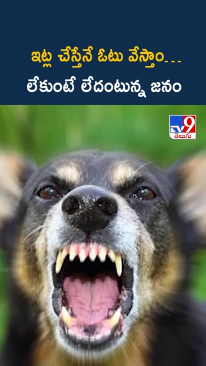 Telangana: ఈ సమస్యలు పరిష్కరిస్తేనే ఓటువేస్తాం.. గ్రామస్థుల కండీషన్స్