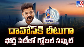 ప్రపంచ నలుదిక్కులు వినిపించేలా 'తెలంగాణ రైజింగ్ నినాదం'